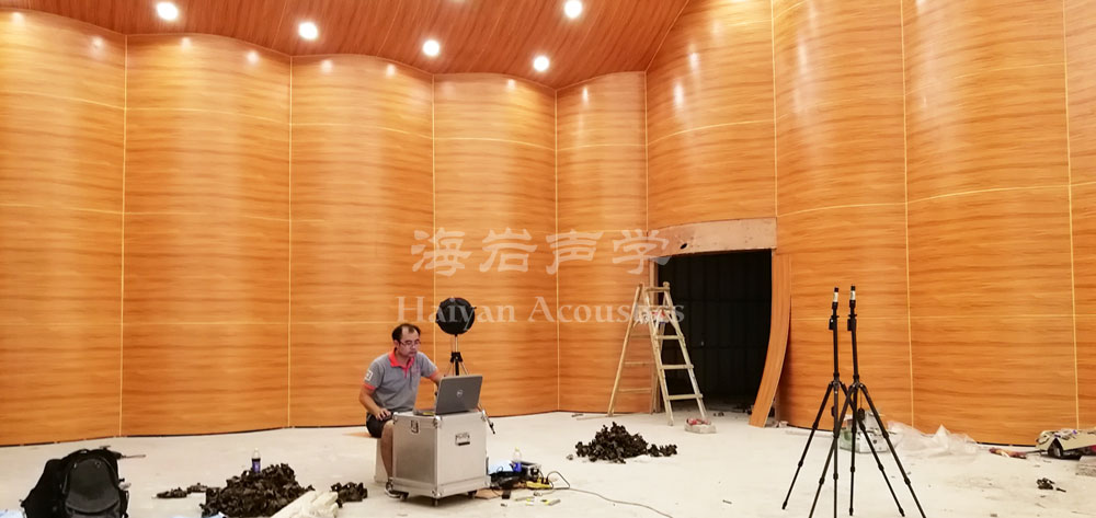 声学工程必不可少 - 中期监控